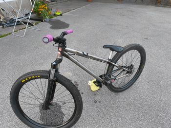 Used leafcycle Leafcycle Custom Single Speed / Fixed Gear 2021 Mountainbike, Light Gray — image 5 of 5