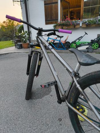 Used leafcycle Leafcycle Custom Single Speed / Fixed Gear 2021 Mountainbike, Light Gray — image 3 of 5