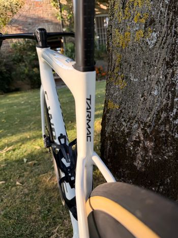 Used Specialized S-Works Tarmac SL8 - Shimano Dura-Ace Di2 2025 2025 Road & Gravel, White — image 11 of 11
