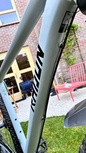 Used Radon JEALOUS AL 8.0 2023 2023 Mountainbike, Light Gray, 29 — image 8 of 19