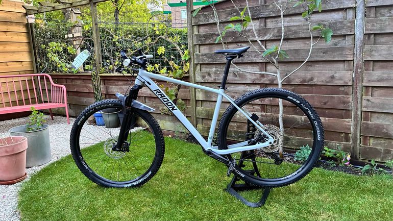 Used Radon JEALOUS AL 8.0 2023 2023 Mountainbike, Light Gray, 29 — image 1 of 19