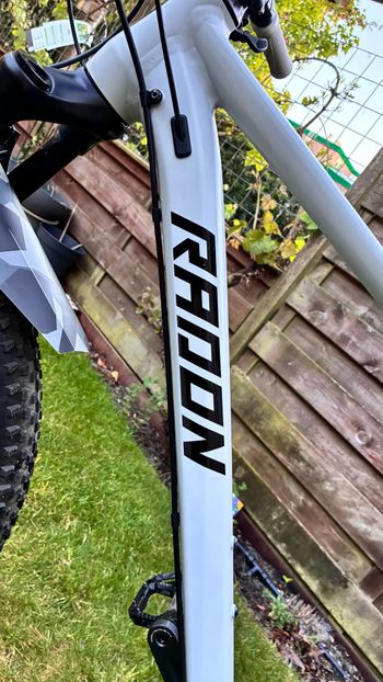 Used Radon JEALOUS AL 8.0 2023 2023 Mountainbike, Light Gray, 29 — image 16 of 19
