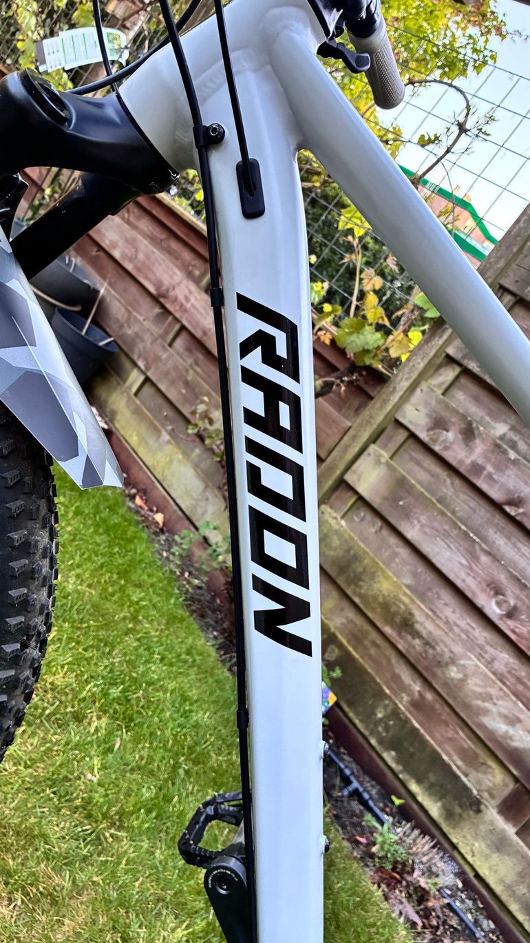 Used Radon JEALOUS AL 8.0 2023 2023 Mountainbike, Light Gray, 29 — image 16 of 19