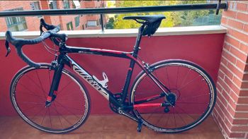 Used Willier Willier Custom Campagnolo Centaur 2019 Road & Gravel