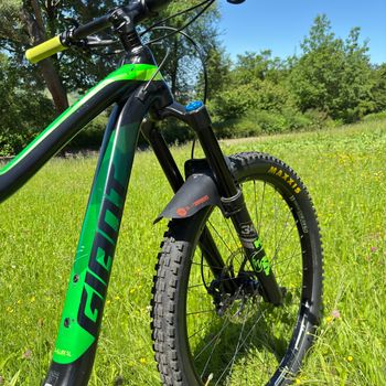 Used Giant Giant Trance 1.5 LTD 2019 Mountainbike, Green — image 3 of 20