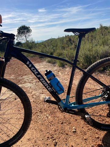 Wolfbike Custom SRAM SX Eagle 2025 MTB usato