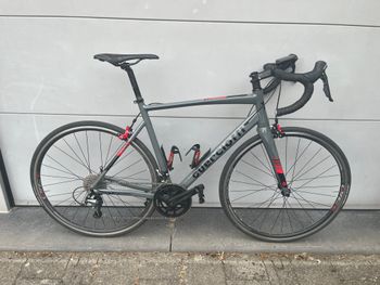 Used Guerciotti San Siro 2022 2022 Road & Gravel