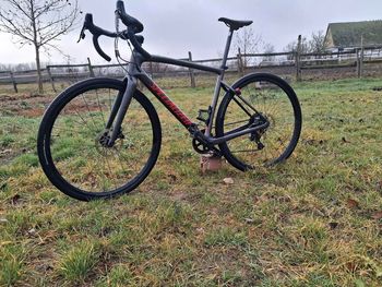 Used Specialized Diverge Base Carbon 2021 2021 Road & Gravel — image 2 of 3