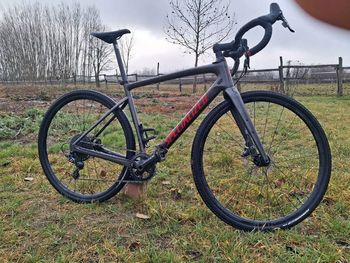 Used Specialized Diverge Base Carbon 2021 2021 Road & Gravel