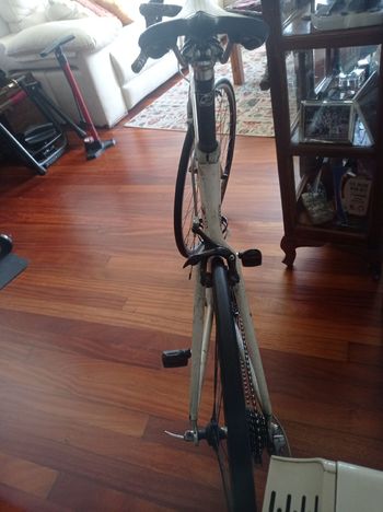 Used Trek Trek Custom Shimano 105 2006 Road & Gravel, White — image 4 of 4