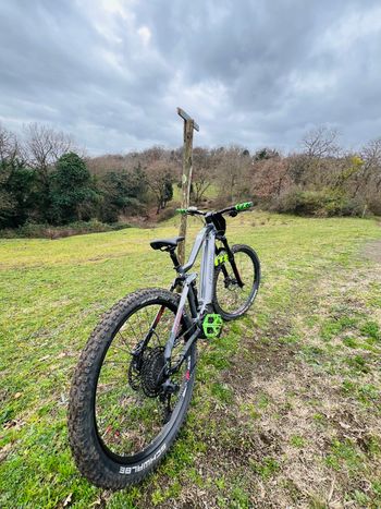 Used Haibike AllMtn 2 2024 2024 Mountainbike, Gris claro — image 3 of 4
