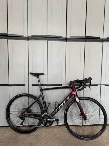 Used Scott Addict 30 2024 2024 Road & Gravel