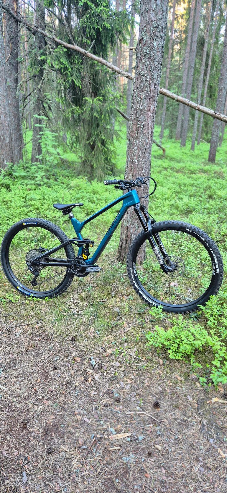 Used Radon Radon Slide Trail Cf 2023 2023 Mountainbike — image 1 of 7