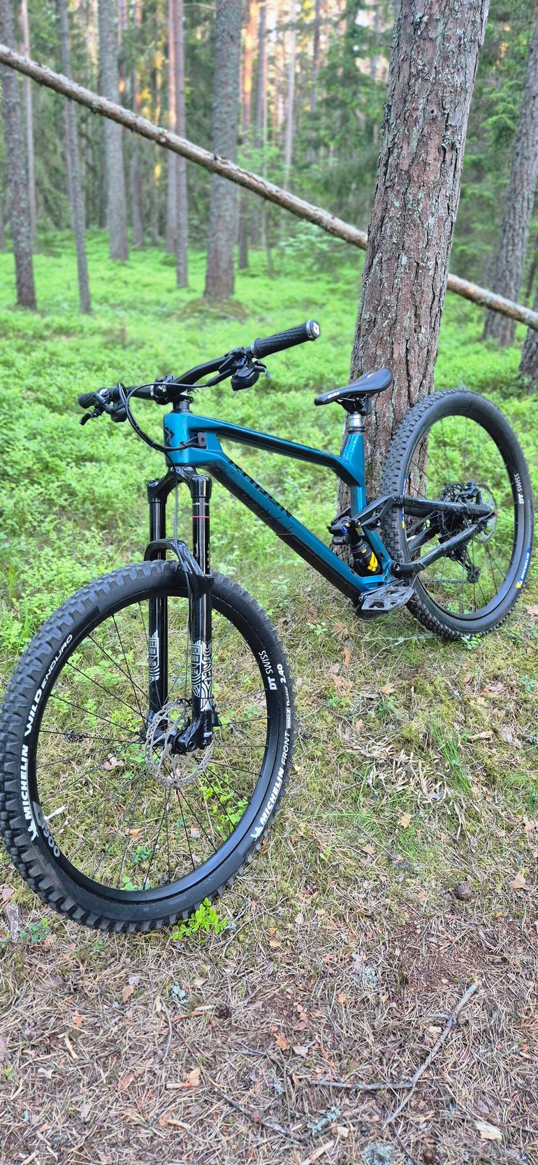 Used Radon Radon Slide Trail Cf 2023 2023 Mountainbike — image 6 of 7
