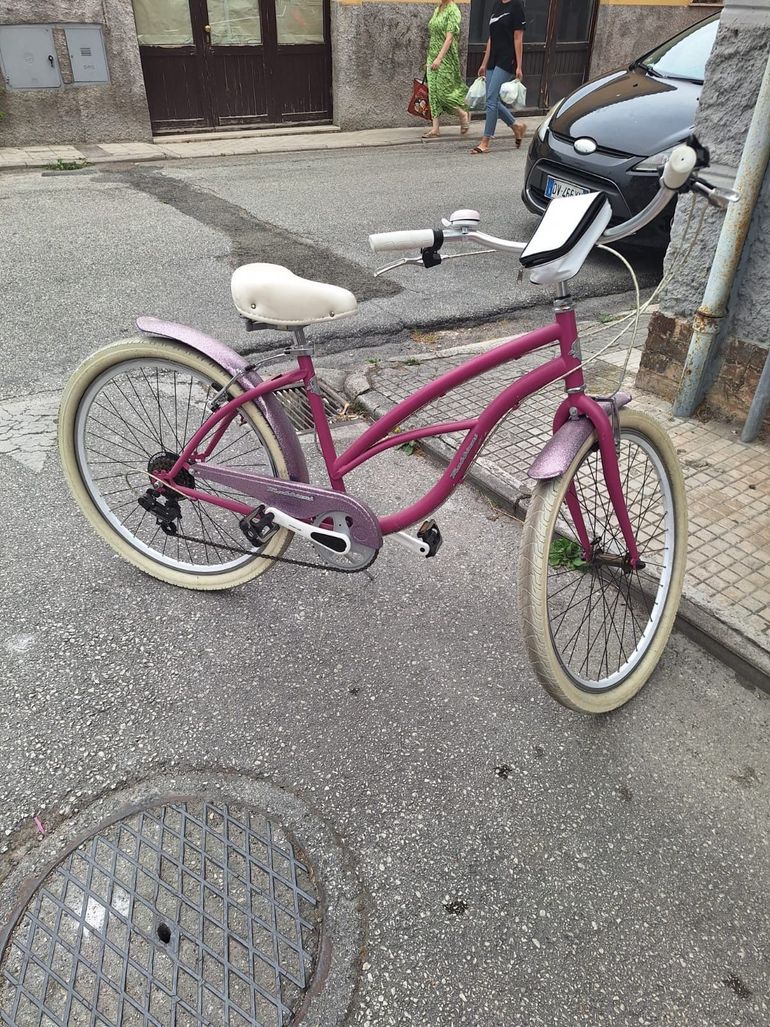 Used Trubbiani Trubbiani Custom Urban — image 2 of 6