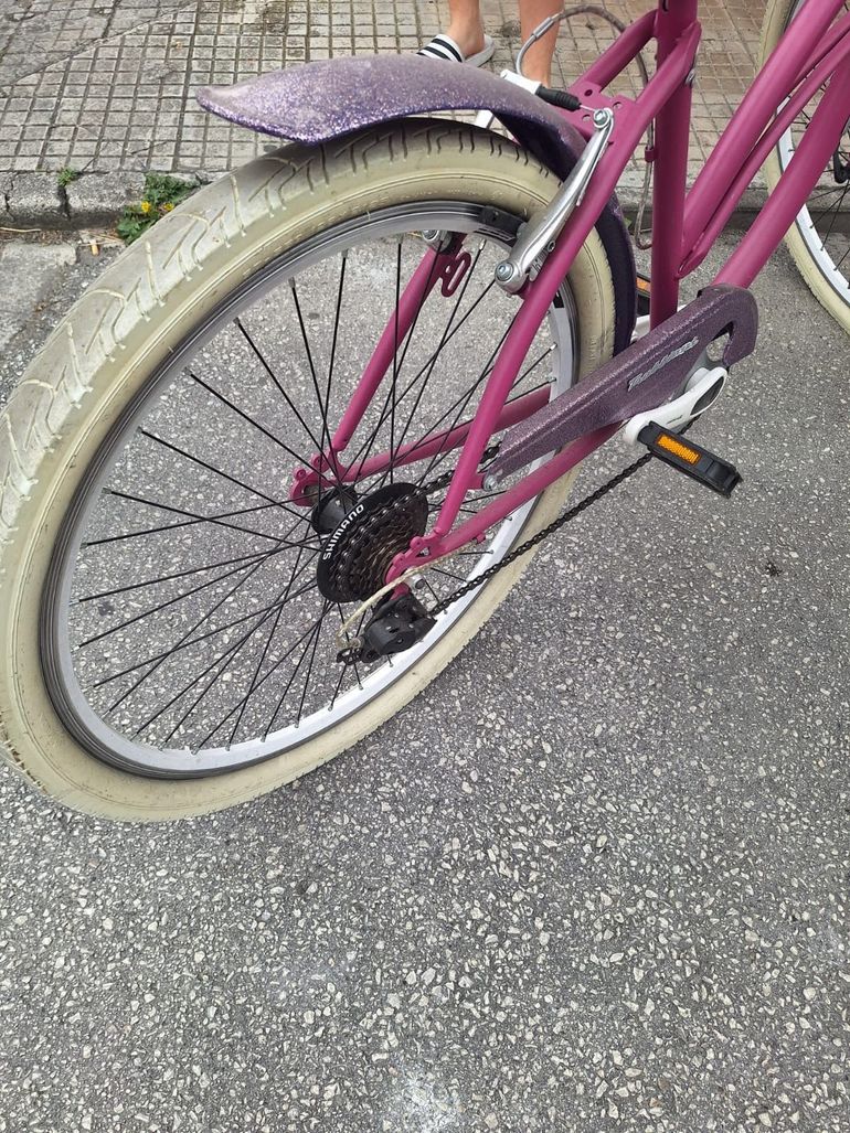 Used Trubbiani Trubbiani Custom Urban — image 5 of 6