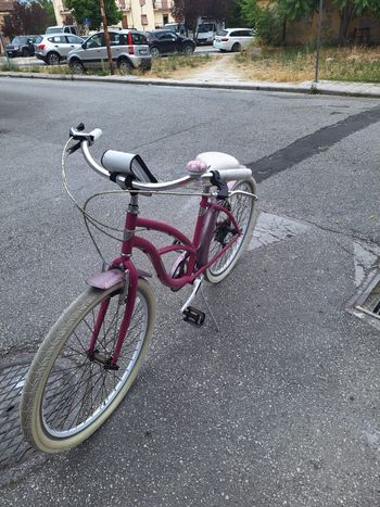 Used Trubbiani Trubbiani Custom Urban — image 3 of 6
