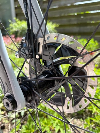 Used Sensa Giulia Shimano Ultegra Di2 2022 Road & Gravel, Light Gray — image 12 of 14