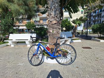 Used BH Speedrom 2010 Road & Gravel, Blau — image 2 of 7