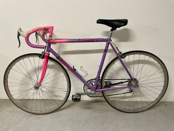 Used Bianchi Bianchi Custom Shimano Exage 1990 Road & Gravel, Purple — image 2 of 24