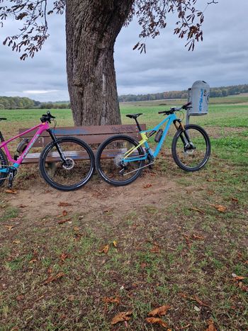 Used Orbea OIZ M-TEAM AXS 2025 2025 MTB