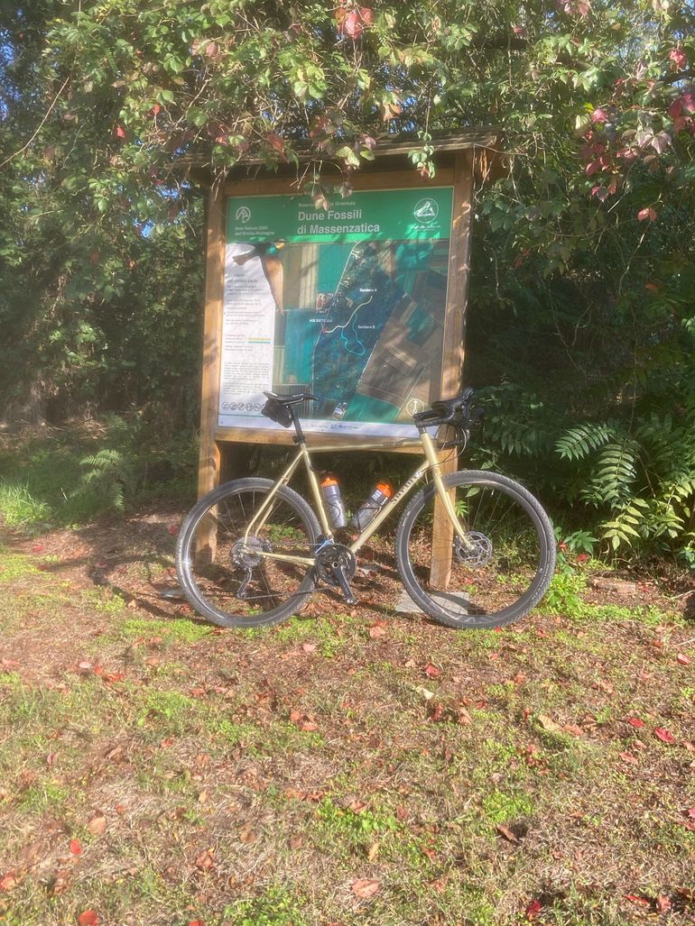 Used Surly Midnight Special 2024 2024 Road & Gravel, Orange — image 8 of 9