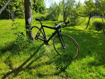 Used Apex Apex Carbon Cyclocross 2020 Road & Gravel, Black — image 2 of 12