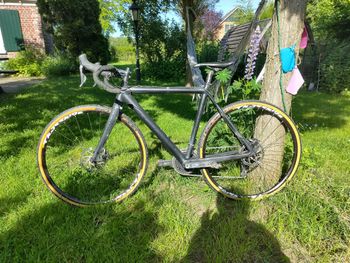 Used Apex Apex Carbon Cyclocross 2020 Racefiets & gravel
