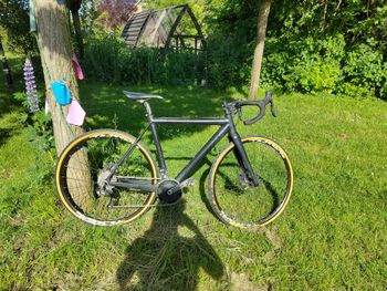 Used Apex Apex Carbon Cyclocross 2020 Road & Gravel, Black — image 12 of 12