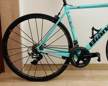 Used Bianchi Specialissima Frameset 2019 2019 Road & Gravel — image 3 of 9