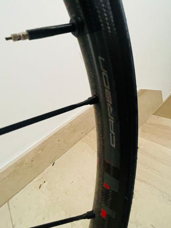Used Bianchi Specialissima Frameset 2019 2019 Road & Gravel — image 8 of 9
