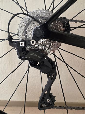 Used Canyon Ultimate CF SL 7 2024 2024 Road & Gravel, Red — image 12 of 15
