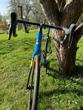 Used Colnago Mapei Edition 2020 Road & Gravel — image 7 of 12