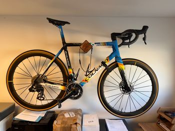Used Colnago Mapei Edition 2020 Road & Gravel — image 2 of 12