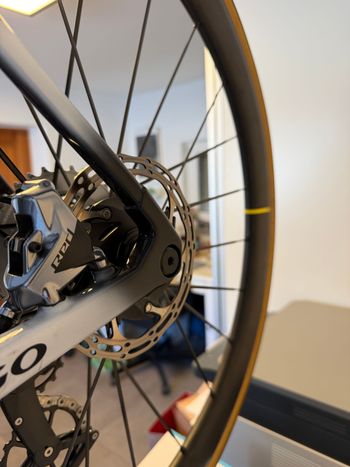Used Colnago Mapei Edition 2020 Road & Gravel — image 3 of 12