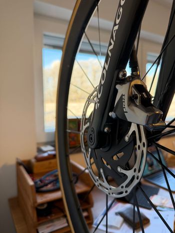 Used Colnago Mapei Edition 2020 Road & Gravel — image 4 of 12
