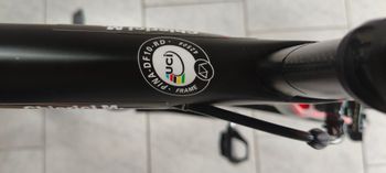 Used Pinarello DOGMA F10 2019 2019 Road & Gravel — image 4 of 9