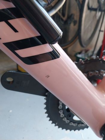 Used Specialized Specialized Roubaix Expert 2021 Road & Gravel — image 4 of 4