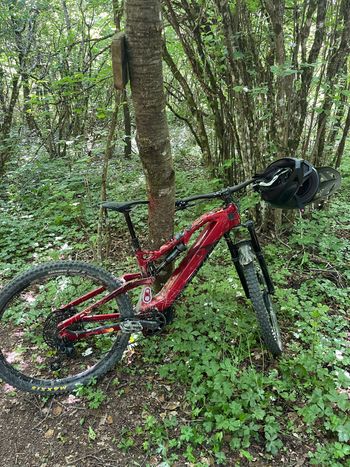 Used R RAYMON AirRay 10.0 2024 2024 MTB