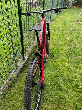 Used R RAYMON AirRay 10.0 2024 2024 Mountainbike, Red, 29 — image 4 of 8