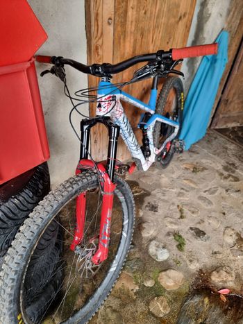 Used Canyon Strive CFR 9.0 Team 2019 2019 Mountainbike, White, 29 — image 2 of 7