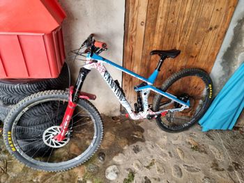 Used Canyon Strive CFR 9.0 Team 2019 2019 MTB