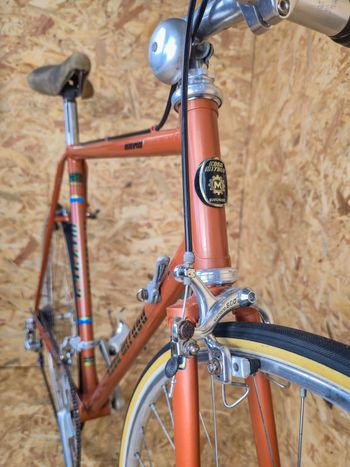 Used Koga Koga Miyata Roadspeed 1981 Vintage L'Eroica Shimano 600 Arabesque 1981 Road & Gravel, Red — image 3 of 9