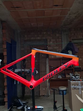 Used Ridley Falcn RS - Frameset 2026 Frameset 2026 Road & Gravel, Red — image 2 of 6