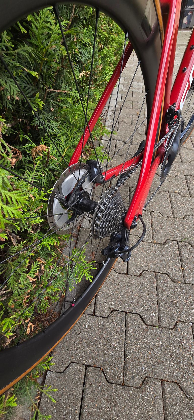Used Focus IZALCO MAX 8.8 2021 2021 Road & Gravel, Red — image 4 of 8
