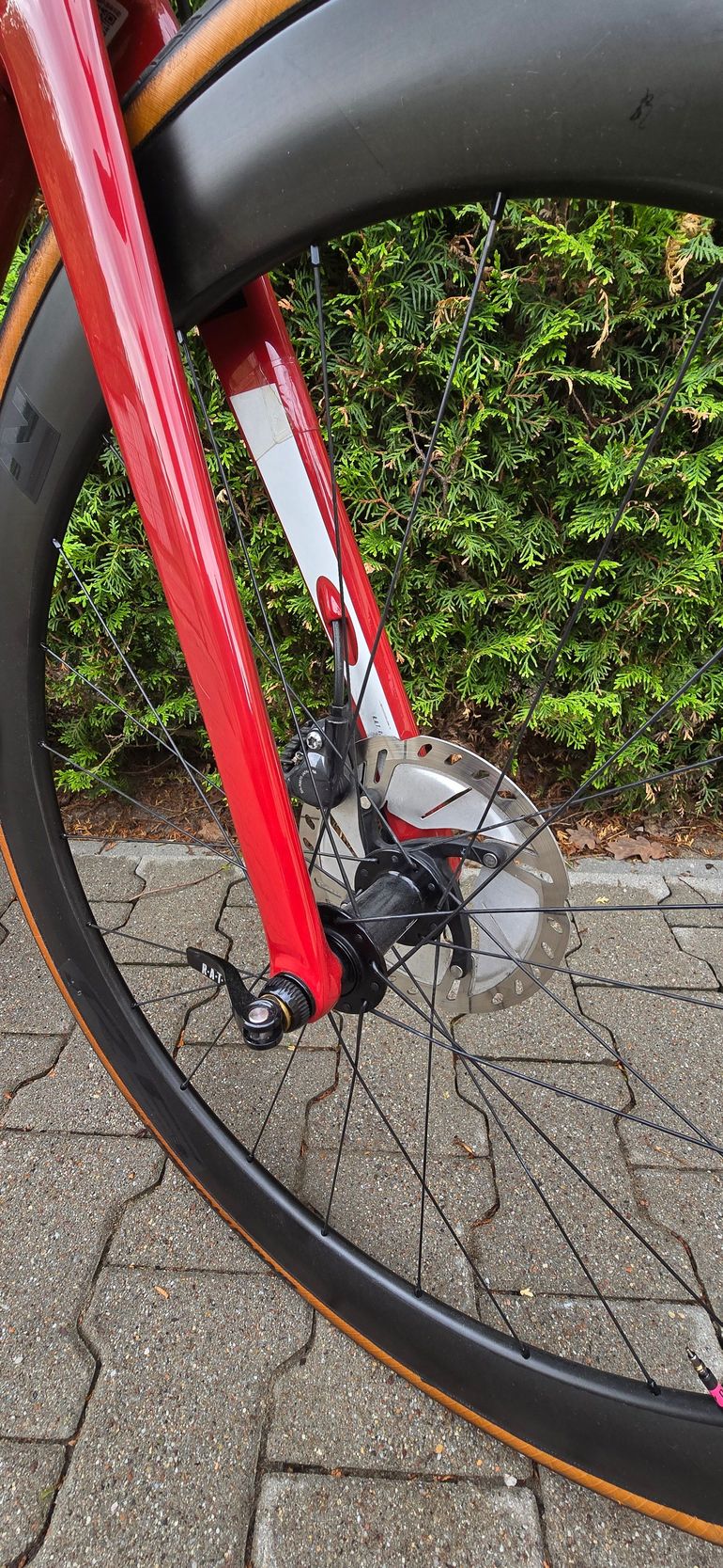Used Focus IZALCO MAX 8.8 2021 2021 Road & Gravel, Red — image 6 of 8