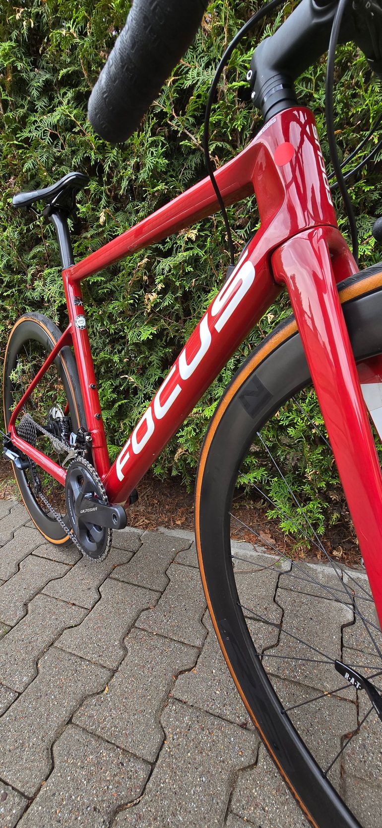 Used Focus IZALCO MAX 8.8 2021 2021 Road & Gravel, Red — image 7 of 8