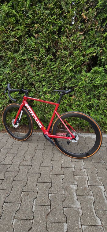 Used Focus IZALCO MAX 8.8 2021 2021 Road & Gravel, Red — image 8 of 8