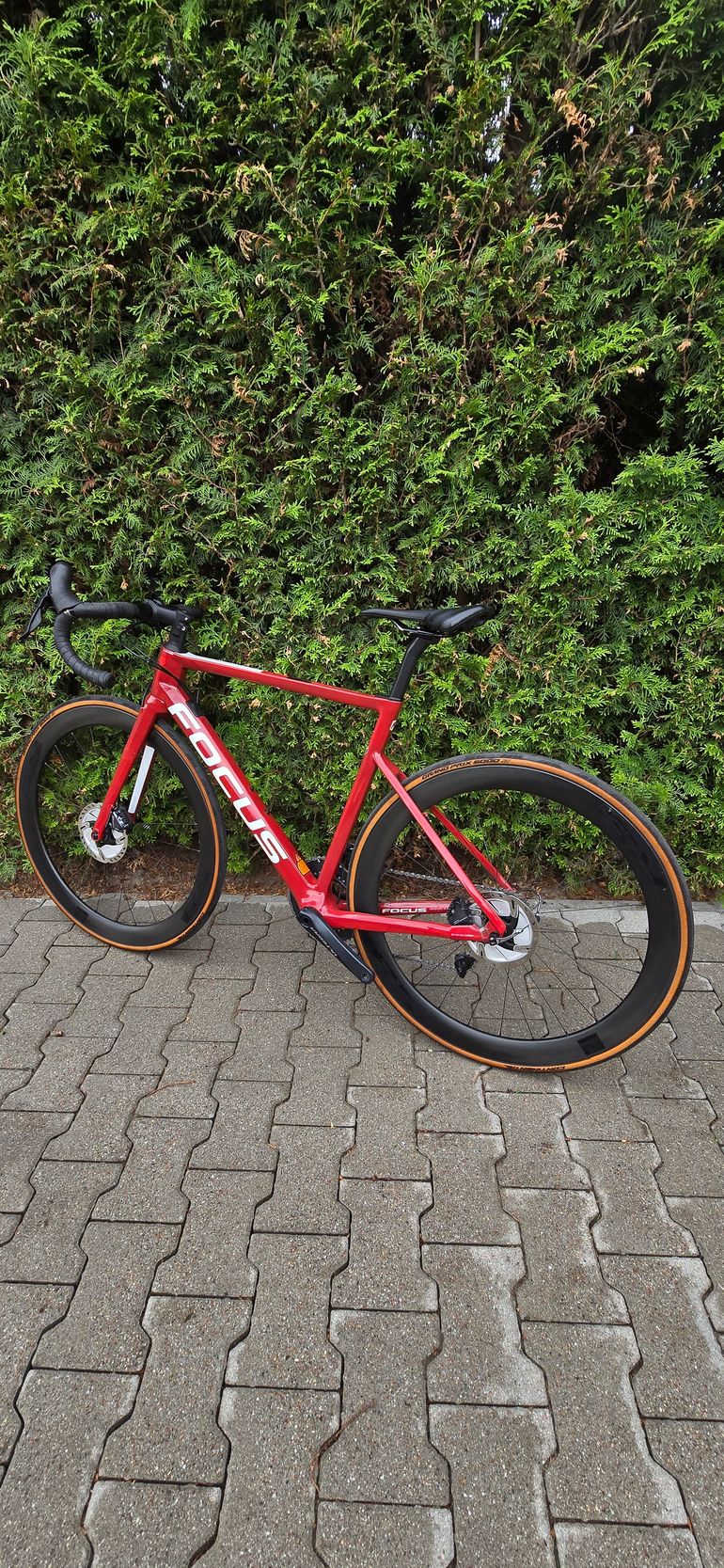 Used Focus IZALCO MAX 8.8 2021 2021 Road & Gravel, Red — image 8 of 8