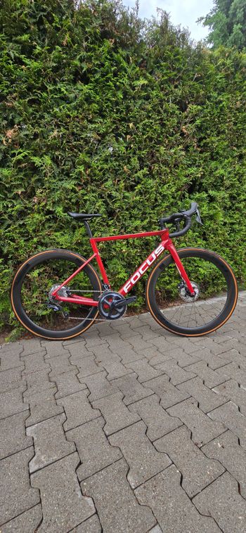 Used Focus IZALCO MAX 8.8 2021 2021 Road & Gravel